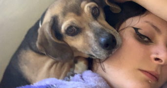 magali pet sitter à AVIGNON 84000_0