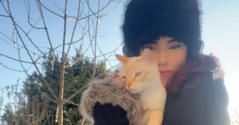 lou pet sitter à VILLEJUIF 94800_1