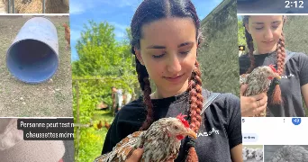 alia pet sitter à MONTBONNOT ST MARTIN 38330