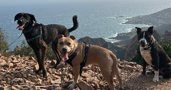 esther pet sitter à AURIBEAU SUR SIAGNE 06810_15