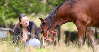 maeva  pet sitter à DIJON 21000_7