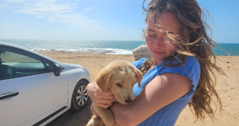 yvane pet sitter à MONTGERON 91230_0