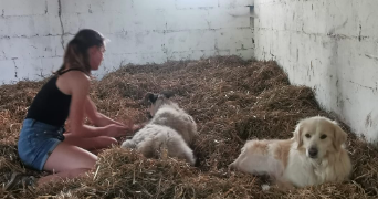 camille pet sitter à Valbonne 06740_4