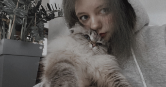 alicia pet sitter à ROSENAU 68128_1