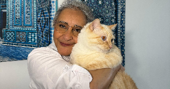 leila cat sitter à ARGENTEUIL 95100_0