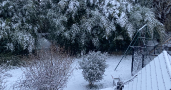 typhaine pet sitter à ST LAMBERT 78470_3