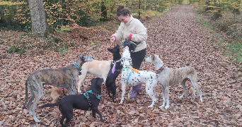 jessica pet sitter à HOUDAN 78550_1