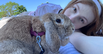 liora pet sitter à METZ 57000_3