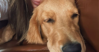 jade pet sitter à PARIS 15 75015_5