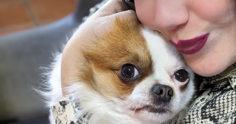 elise pet sitter à MARSEILLE 11 13011_5