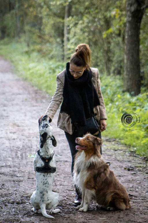 Manon pet sitter à Loos-en-Gohelle 62750