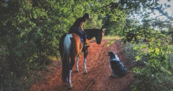 julia pet sitter à METHAMIS 84570_1