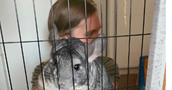 barbara pet sitter à STRASBOURG 67200_0