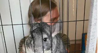 barbara pet sitter à STRASBOURG 67200