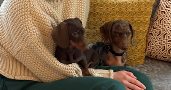 julie pet sitter à PARIS 11 75011_0