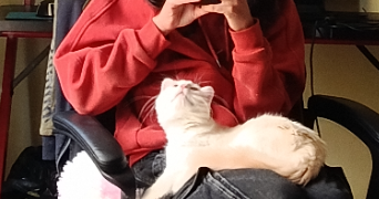 aiden pet sitter à PESSAC 33600_2