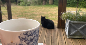 claire pet sitter à DOMONT 95330_2