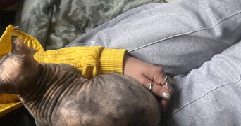 fanny pet sitter à BOULOGNE BILLANCOURT 92100_3
