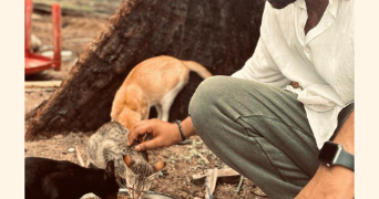 saikiran pet sitter à SARTROUVILLE 78500_2