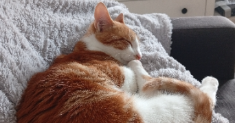 elise pet sitter à CHAMBERY 73000_6