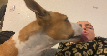 lilou pet sitter à COUFOULEUX 81800_2