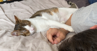 sophie pet sitter à AMIENS 80000_2