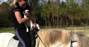 mélissa pet sitter à CANDILLARGUES 34130_3