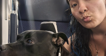 kaleialoha pet sitter à CHANTILLY 60500_2