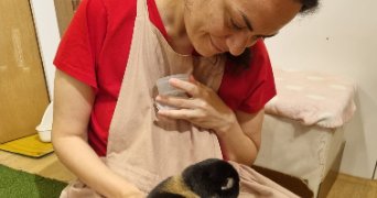 aurélie pet sitter à PARIS 11 75011_2