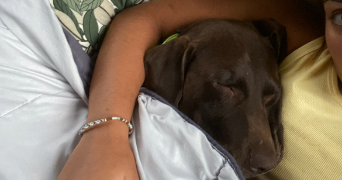 agathe pet sitter à CLERMONT FERRAND 63100_2