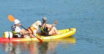marine pet sitter à DON 59272_3