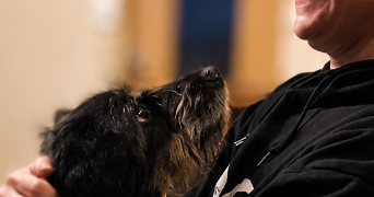 marie pet sitter à VERT ST DENIS 77240_3