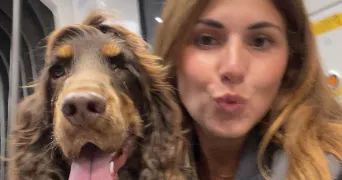 julie dog sitter à PARIS 17 75017