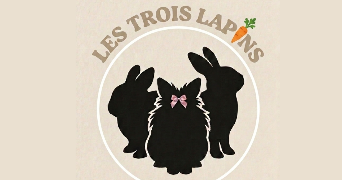 fadila pet sitter à ST ETIENNE 42100_1