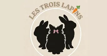 fadila pet sitter à ST ETIENNE 42100