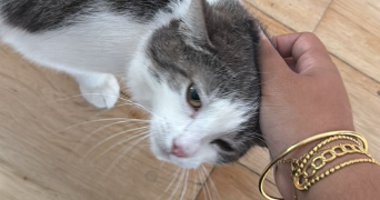 auriane pet sitter à PANTIN 93500_3