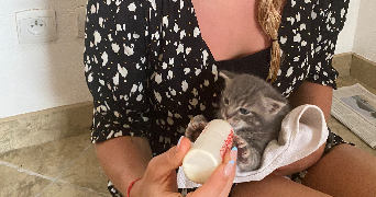 apryl pet sitter à Meudon 92190_4