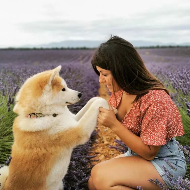 charline pet sitter à Besse sur Issole 83890