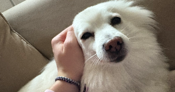 amandine pet sitter à ROYAT 63130_9