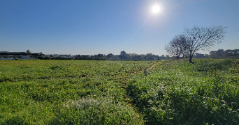 manon pet sitter à MONTPELLIER 34080_3