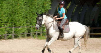 cédrine pet sitter à CAEN 14000_3