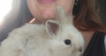maëva pet sitter à TOULON 83000_1