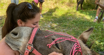 léane pet sitter à NANTES 44000_2