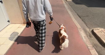 ethan pet sitter à LEVALLOIS PERRET 92300_5
