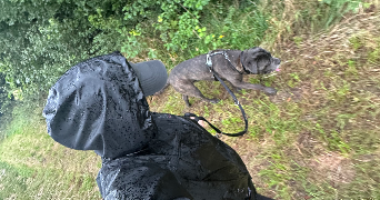 lou-ann pet sitter à Sessenheim 67770_1