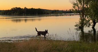 axelle pet sitter à Axat 11140_3