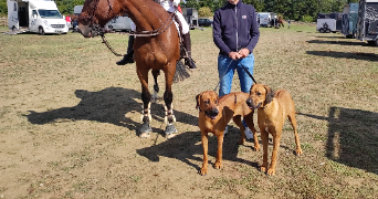 margot pet sitter à Saint ouen 41100_2