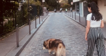 lissy pet sitter à PARIS 15 75015_2