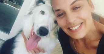 emilie pet sitter à LATOUR BAS ELNE 66200_0