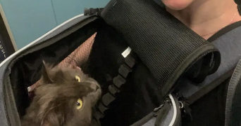 estelle pet sitter à GRENOBLE 38000_3